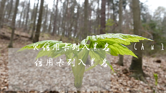 欠信用卡列入黑名單會(huì)怎么樣（欠信用卡列入黑名單）