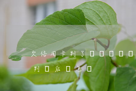 欠信用卡判了沒錢還 確實無力還信用卡,法院判決后會怎樣