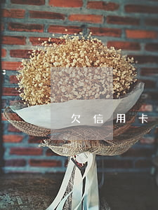 欠信用卡判無期(欠信用卡判幾年)