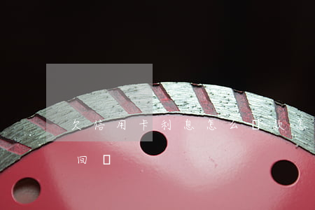 欠信用卡利息怎么還款 怎么把信用卡利息要回來