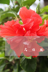 欠信用卡利息減免申請，申請信用卡利息減免，減輕還款負擔(dān)