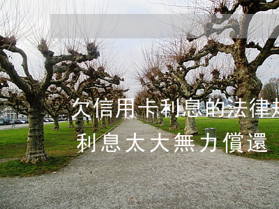 欠信用卡利息的法律規(guī)(欠信用卡利息太大無力償還)