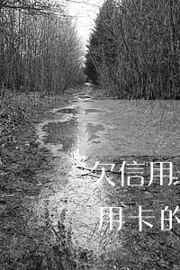 欠信用卡前會(huì)有什么后果-欠信用卡的錢最慘的