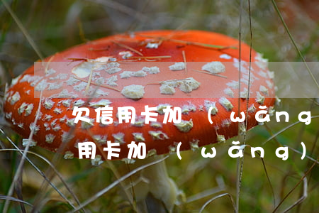 欠信用卡加網(wǎng)貸20多萬(欠信用卡加網(wǎng)貸20多萬)