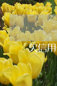 欠信用卡加網(wǎng)貸八萬不還