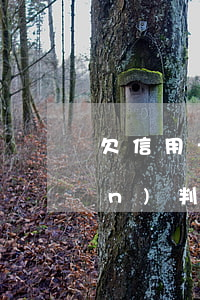 欠信用卡加網(wǎng)貸近百萬(wàn)判多少年(欠信用卡網(wǎng)貸幾十萬(wàn))