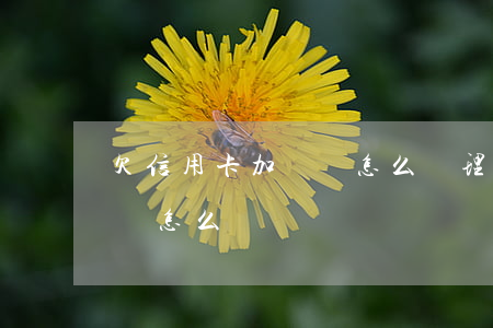 欠信用卡加網貸怎么處理(欠信用卡和網貸應該怎么辦)