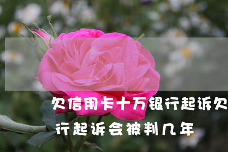 欠信用卡十万银行起诉(欠信用卡十万以上银行起诉会被判几年)