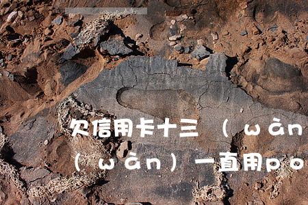 欠信用卡十三萬(wàn)(欠信用卡十三萬(wàn)一直用pos機(jī)周轉(zhuǎn))