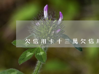 欠信用卡十三萬（欠信用卡十三萬）