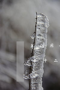 欠信用卡十二萬會(huì)坐牢嗎（欠信用卡十二萬）