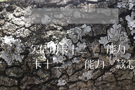 欠信用卡十二萬無能力還款怎么辦-欠信用卡十二萬無能力還款怎么辦理