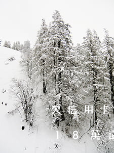 欠信用卡十八萬還不上了怎么辦-欠信用卡18萬還不上