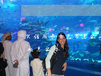 欠信用卡十几万怎么还(欠信用卡十几万还不起怎么办)