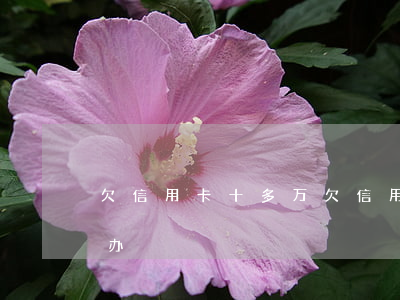欠信用卡十多万(欠信用卡十多万没钱还怎么办)
