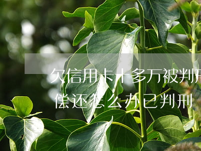 欠信用卡十多万被判刑(欠信用卡10万无力偿还怎么办已判刑)