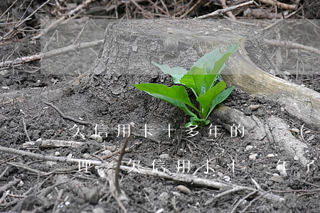 欠信用卡十多年的賬沒(méi)還怎么處理-欠信用卡十幾年了