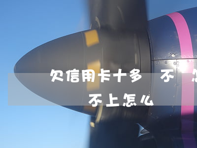 欠信用卡十多萬不還怎么辦(欠信用卡二十多萬還不上怎么辦)
