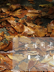 欠信用卡十多萬判刑(欠信用卡十幾萬會坐牢嗎?坐牢還要還嗎)