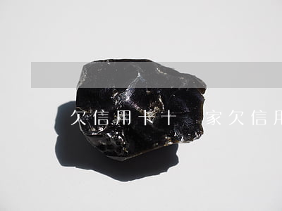 欠信用卡十幾家(欠信用卡十幾家)