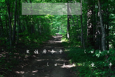 欠信用卡十幾萬(wàn)逃跑(欠信用卡十幾萬(wàn)坐幾年牢)