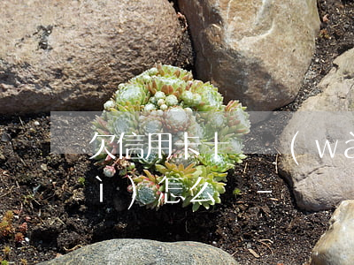 欠信用卡十幾萬(wàn)還不上會(huì)怎么樣-