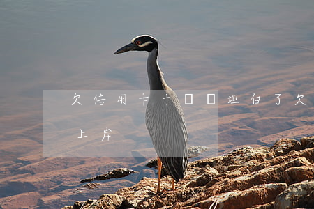 欠信用卡十幾萬坦白了(欠信用卡十幾萬怎么上岸)