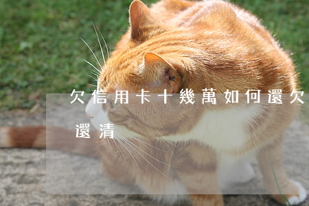 欠信用卡十幾萬如何還(欠信用卡十幾萬如何還清)