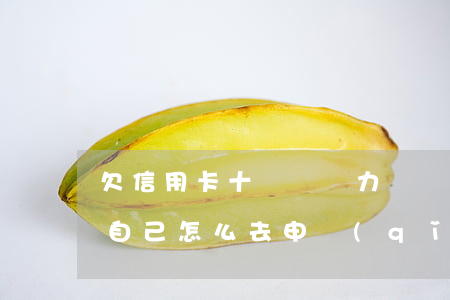 欠信用卡十幾萬無力償還怎么辦-停息掛賬自己怎么去申請(qǐng)