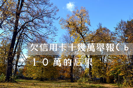 欠信用卡十幾萬舉報(bào)(拖欠信用卡10萬的后果)