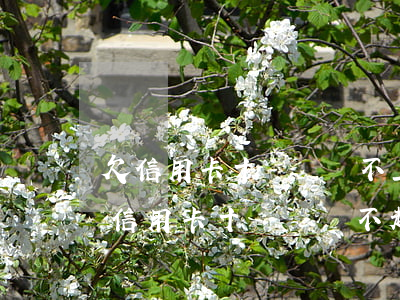 欠信用卡十幾萬還不上你們怎么處理的-欠信用卡十幾萬還不起怎么辦