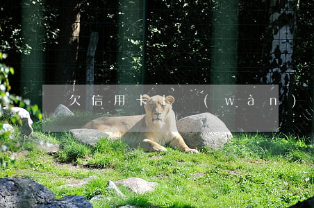 欠信用卡十萬(wàn)塊
