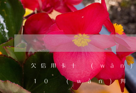 欠信用卡十萬(wàn)能判刑嗎(欠信用卡10萬(wàn)判幾年)