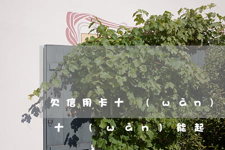 欠信用卡十萬(wàn)能起訴嗎(欠信用卡十萬(wàn)能起訴嗎知乎)