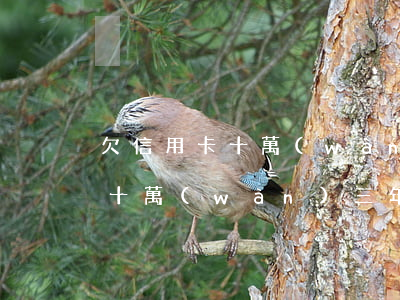 欠信用卡十萬(wàn)逾期三年(欠信用卡十萬(wàn)三年還清計(jì)劃)