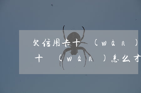 欠信用卡十萬(wàn)還款技巧(欠信用卡十萬(wàn)怎么才能還完)