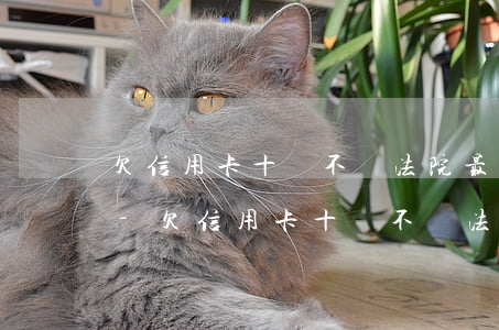 欠信用卡十萬不還法院最新規(guī)定-欠信用卡十萬不還法院最新規(guī)定是什么