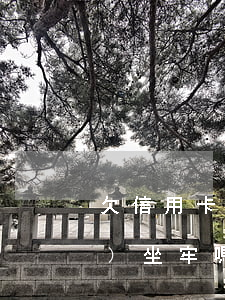 欠信用卡十萬了(欠信用卡十萬了會(huì)坐牢嗎)