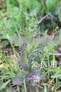 欠信用卡十萬兩年沒還(欠信用卡十萬兩年還清)