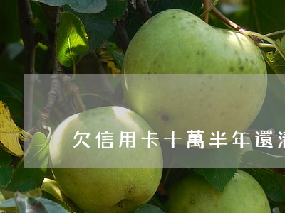 欠信用卡十萬半年還清