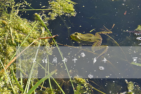 欠信用卡十萬多年沒還可以查嗎-