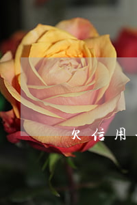 欠信用卡十萬多年沒還怎么處理-