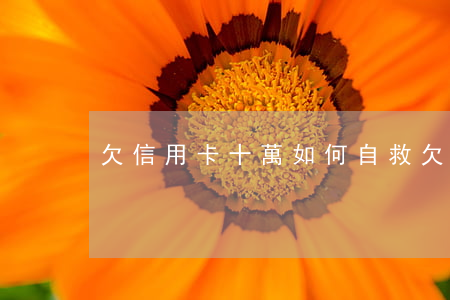 欠信用卡十萬如何自救(欠信用卡10萬多嗎)