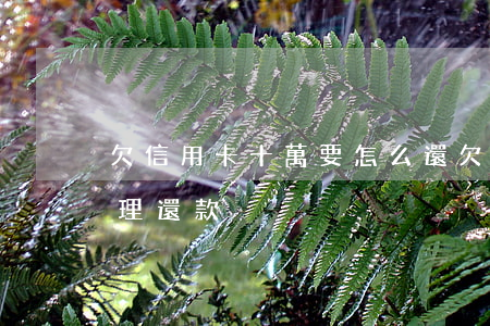 欠信用卡十萬要怎么還(欠信用卡十萬如何合理還款)