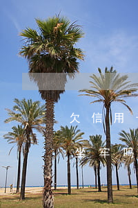 欠信用卡千块钱不还(欠信用卡几千块不还会坐牢吗)