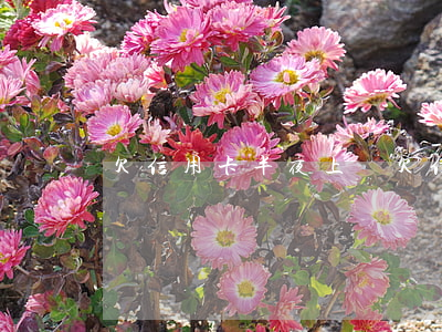 欠信用卡 半夜上門(欠信用卡 半夜上門是真的嗎)