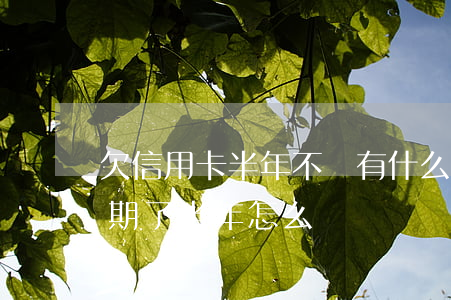 欠信用卡半年不還有什么后果(欠信用卡錢逾期了半年怎么辦)