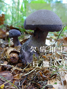 欠信用卡半年了(欠信用卡半年了一直沒和銀行聯(lián)系 現(xiàn)在需要怎么溝通)