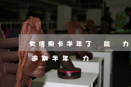 欠信用卡半年了無能為力償還怎么辦（信用卡逾期半年無力償還騷擾家人）
