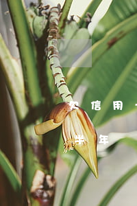 欠信用卡半年沒還會收到傳票嗎-欠信用卡半年沒還會收到傳票嗎怎么辦